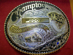 2007 award