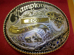 2007 award